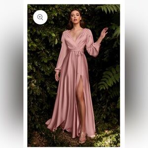 Elegant Blush Long Sleeve Gown